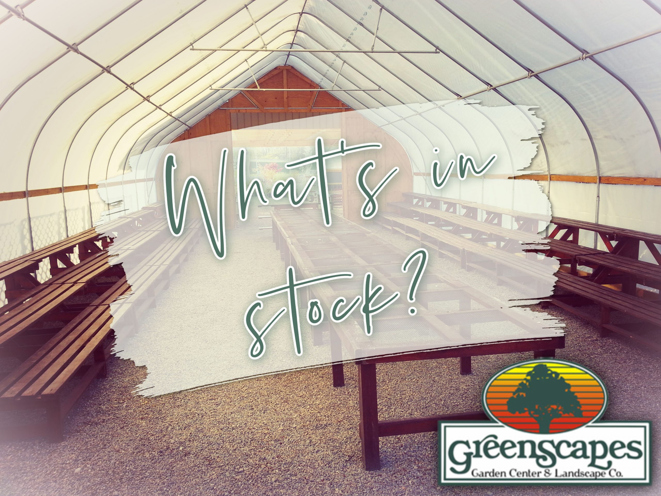 whats in stock at greenscapes
